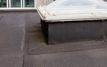 disadvantages of White House flat roofs
